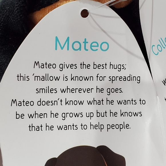 kelly toys | Toys | 8 Squishmallow 